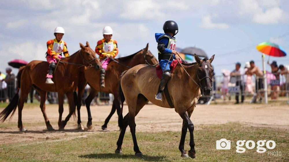 Унаач хүүхдүүдийн хөдөлмөр соёлын өв бус хүний эрхийн зөрчилд хөтөлж байна